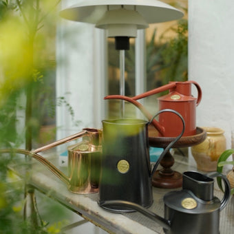 HAWS 澆水壺 經典款