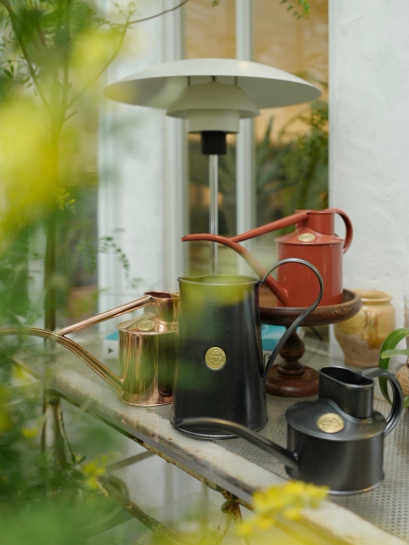 HAWS 澆水壺 經典款