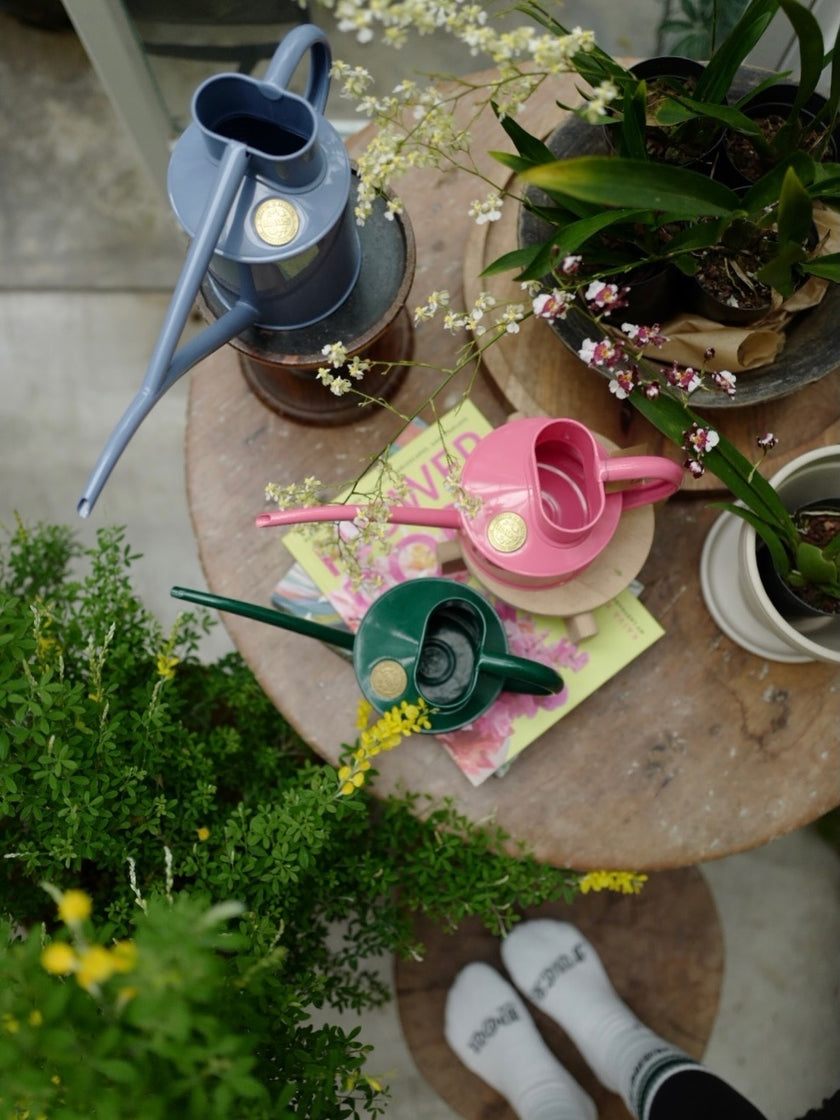 HAWS 澆水壺 經典款