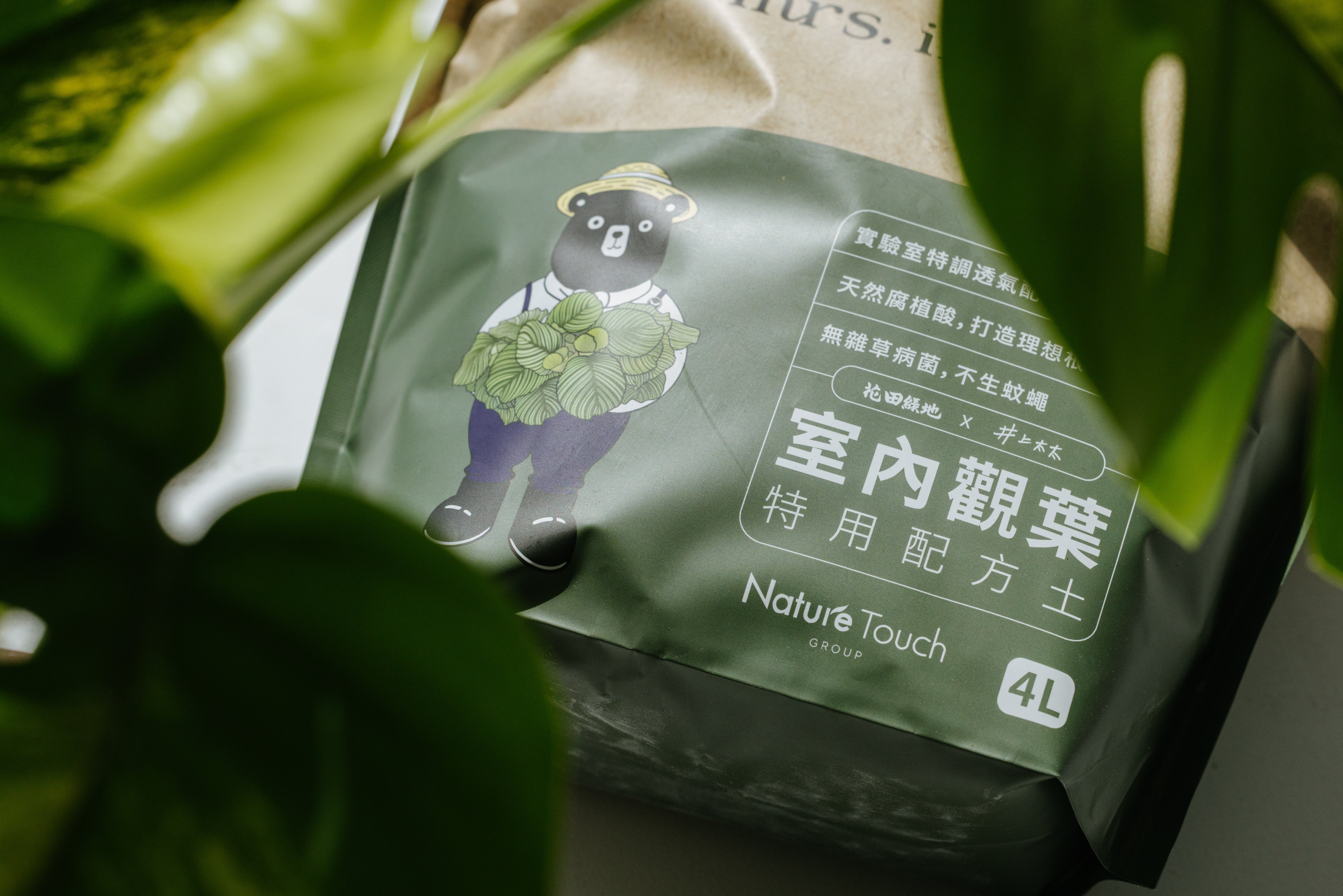 室內觀葉配方土Foliage Plant Soil – mrs. inoue