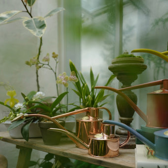 HAWS 澆水壺 經典紅銅