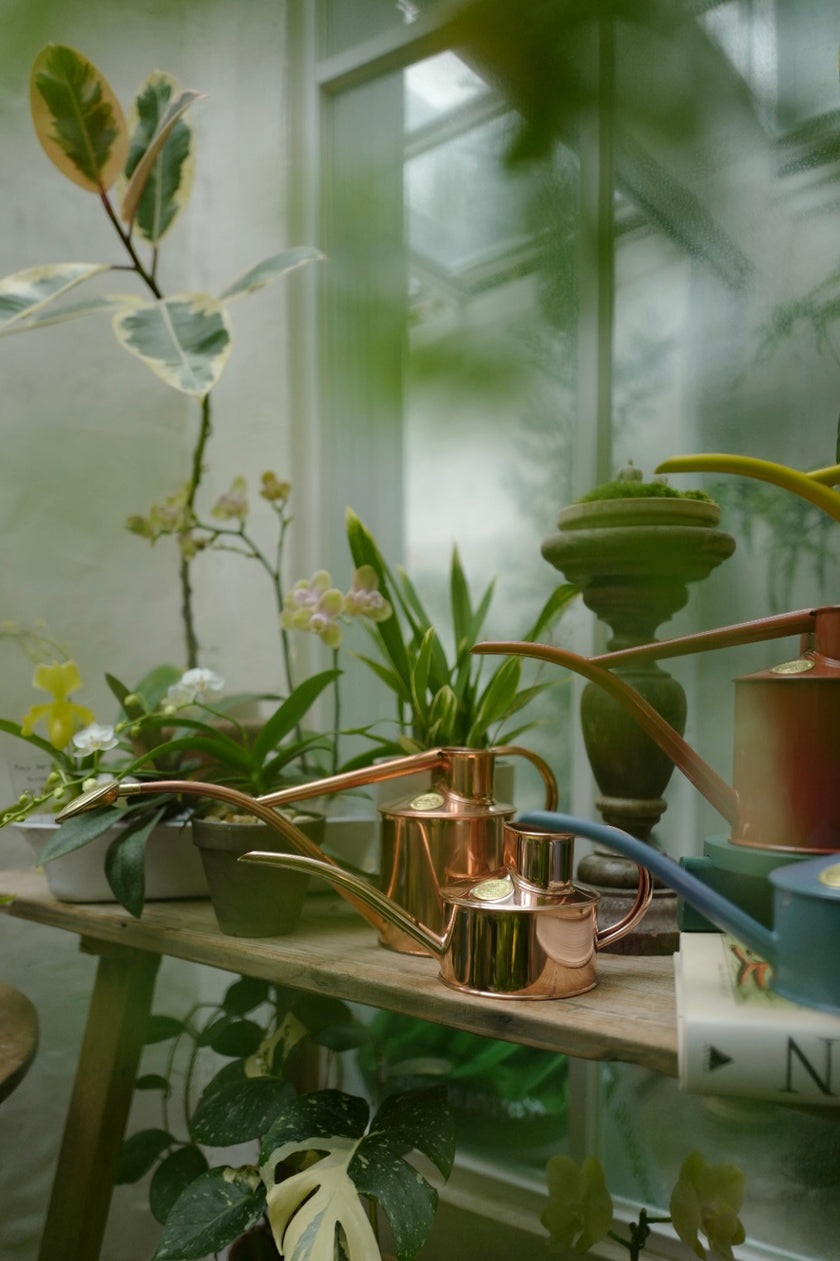 HAWS 澆水壺 經典紅銅 迷你款