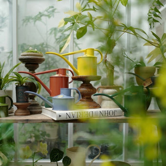 HAWS 澆水壺 經典款