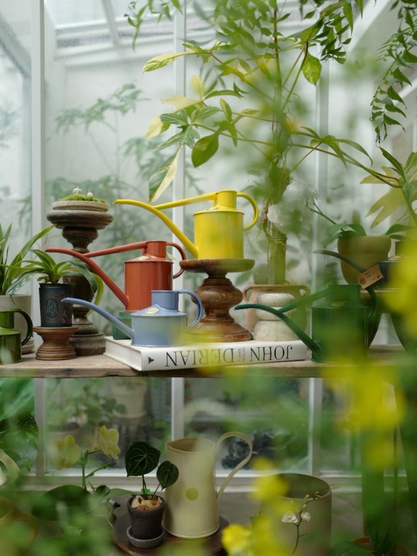 HAWS 澆水壺 經典款