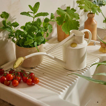 HAWS 澆水壺 花灑經典款