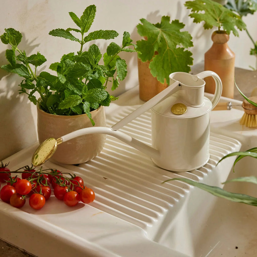 HAWS 澆水壺 花灑經典款