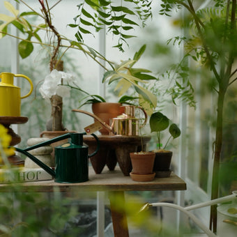 HAWS 澆水壺 經典紅銅 迷你款