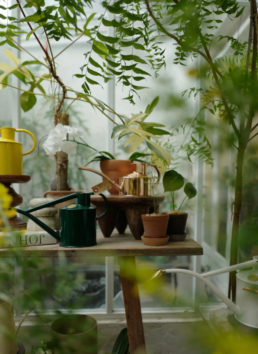 HAWS 澆水壺 經典紅銅 迷你款