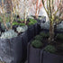 大方型植栽袋 Fabric Boxed Planter - 顏色款 Colour