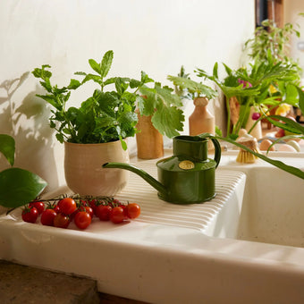 HAWS 澆水壺 迷你款